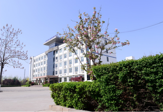公司荣获“山东省先进中小企业”称号