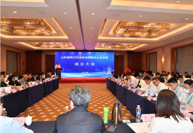 山东省电力行业协会储能专业委员会创建大会暨储能领袖峰会在济南召开